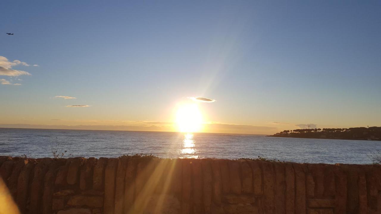 La Tourraque Leilighet Antibes Eksteriør bilde