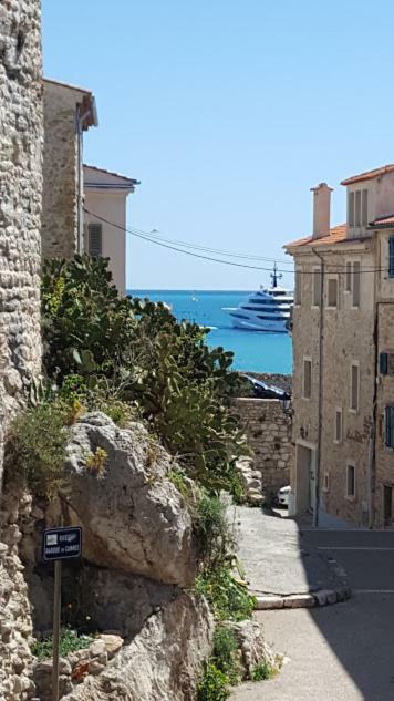 La Tourraque Leilighet Antibes Eksteriør bilde
